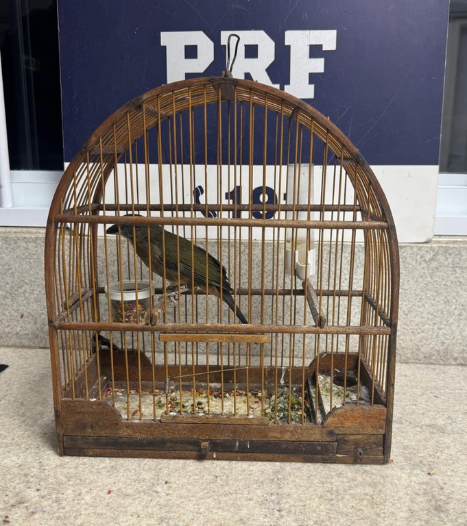 WhatsApp Image 2025-05-15 at 09.38.11.jpeg