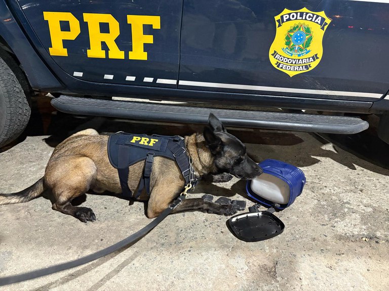 WhatsApp Image 2025-03-12 at 13.30.59.jpeg