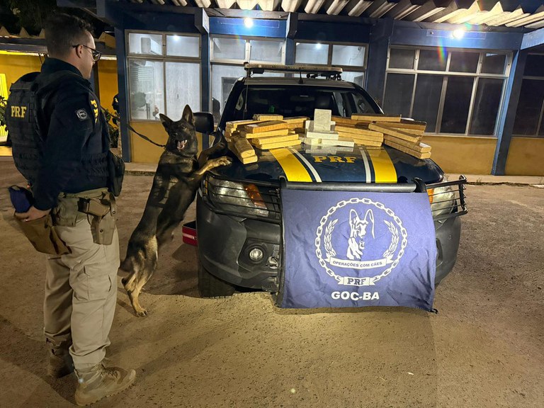 WhatsApp Image 2025-11-11 at 08.37.08.jpeg