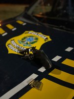PRF prende indivíduo com arma de uso restrito na BR-101, em Santo Antônio de Jesus (BA)
