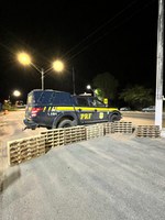 PRF resgata 585 animais silvestres transportados em ve´´iculo abordado na BR-110, em Ribeira do Pombal (BA)