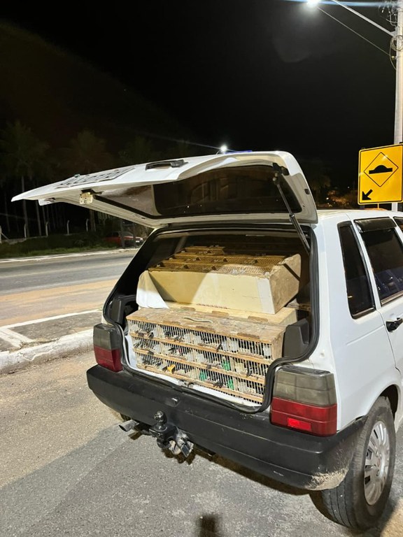 WhatsApp Image 2025-11-24 at 13.47.38.jpeg