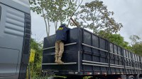 PRF apreende 18 m³ de madeira nativa transportada irregularmente em Gandu (BA)