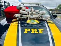 Em Jequié (BA), PRF localiza 11 kg de maconha em bagageiro de ônibus