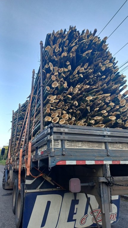 WhatsApp Image 2025-09-18 at 17.02.59.jpeg