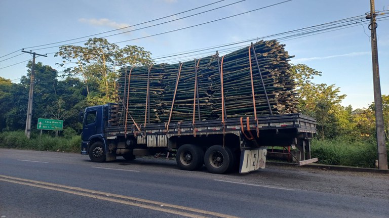 WhatsApp Image 2025-09-18 at 17.03.08.jpeg