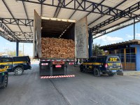 PRF apreende caminhão com madeira irregular em Barreiras (BA)