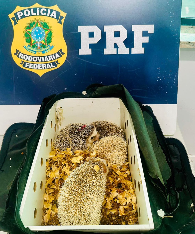 WhatsApp Image 2026-04-14 at 15.52.36 (1).jpeg