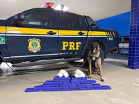 Operação Cão de Faro II: PRF apreende quase 15 kg de drogas em ônibus interestadual em Vitória da Conquista (BA)