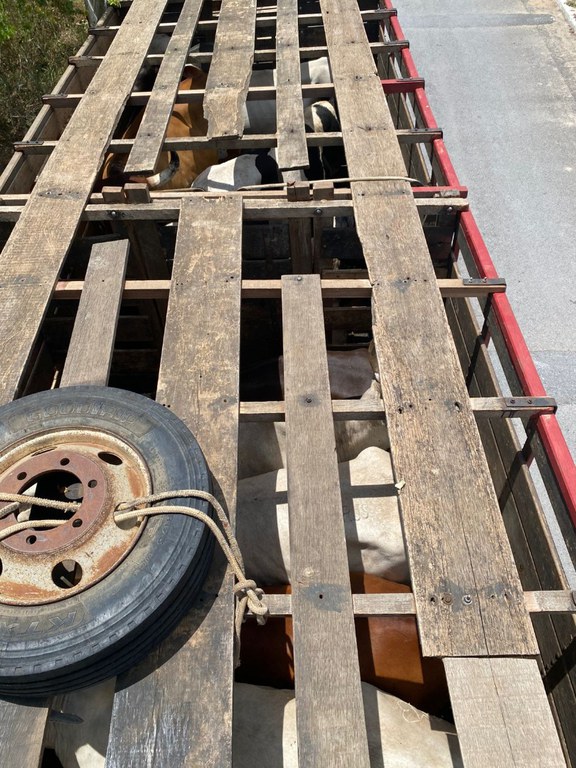 WhatsApp Image 2026-02-09 at 09.11.00 (1).jpeg