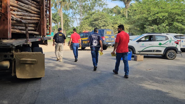 WhatsApp Image 2026-02-12 at 10.22.21.jpeg