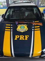 PRF apreende espingarda desmontada em ônibus durante a Operação Cão de Faro em Feira de Santana (BA)