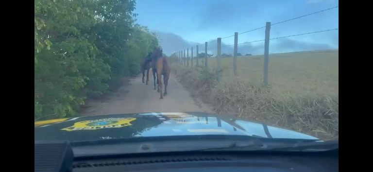 WhatsApp Image 2026-01-11 at 08.48.41.jpeg