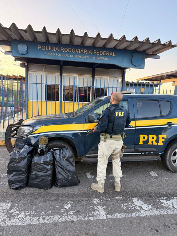 WhatsApp Image 2026-03-16 at 10.45.15.jpeg