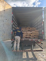 PRF apreende 9 toneladas de peixe transportado de forma irregular na BR-116, em Milagres (BA)
