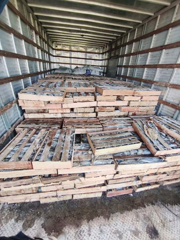 WhatsApp Image 2026-03-13 at 10.02.49.jpeg