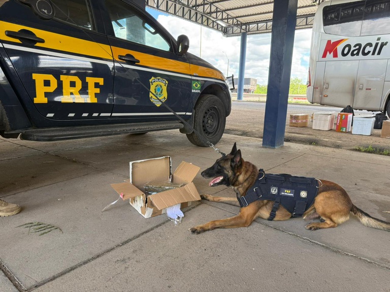 WhatsApp Image 2026-03-11 at 11.06.36 (1).jpeg