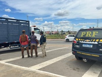 PRF intensifica operação de retirada de animais soltos na BR-407, em Juazeiro (BA)