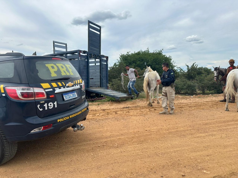 WhatsApp Image 2026-03-20 at 10.45.18.jpeg