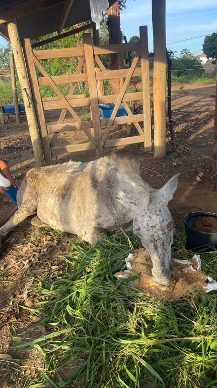 WhatsApp Image 2026-03-18 at 13.51.30.jpeg