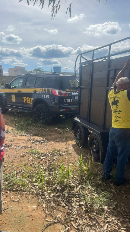 WhatsApp Image 2026-03-18 at 13.51.31 (1).jpeg