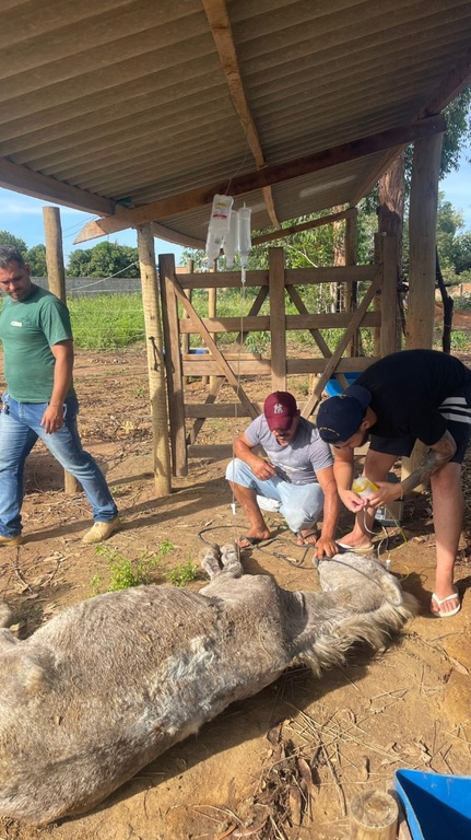 WhatsApp Image 2026-03-18 at 13.51.31.jpeg