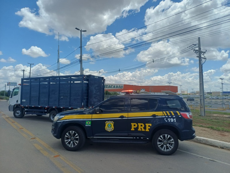 WhatsApp Image 2026-03-16 at 11.24.59.jpeg