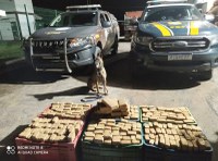 Com auxílio de cão farejador da Rondesp, PRF apreende 160 kg de maconha em Feira de Santana (BA)