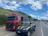 PRF apreende quase 50 toneladas de açúcar sem comprovação fiscal na BR 116 em Jequié/Ba