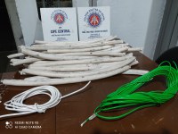 Em ação integrada, PRF e PMBA apreendem ‘Bananas’ de dinamite, espingarda e munições  na zona rural de Jequié (BA)