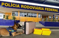 Passageira de ônibus é presa em Vitória da Conquista (BA) transportando maconha em bagagem