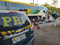 PRF e PMBA deflagram operação integrada para coibir o tráfico de drogas na região do Extremo Sul da Bahia