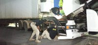 Caminhão adulterado e com restrição judicial, é apreendido pela PRF em trecho da Chapada Diamantina