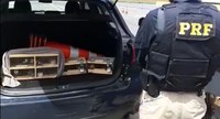 PRF apreende pássaros silvestres raros na Fernão Dias