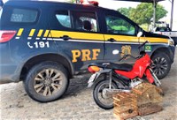 PRF flagra condutor inabilitado transportando pássaros silvestres na BR 101 em Sapeaçu (BA)