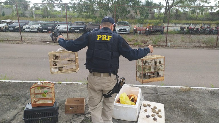 WhatsApp Image 2022-06-15 at 21.35.13.jpeg