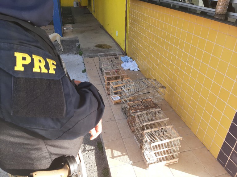 WhatsApp Image 2022-06-12 at 15.41.12.jpeg