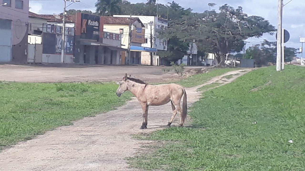 WhatsAppImage20210627at12.31.221.jpeg