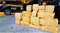Após fuga, PRF apreende quase 300 Kg de maconha na BR 116