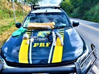 Integrantes de facção criminosa são presos na BR 101 com armas de fogo e drogas