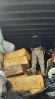 PRF apreende 2 toneladas de maconha na Bahia e faz maior apreensão do ano no estado