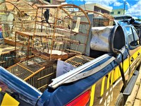 PRF e INEMA deflagram operação de combate a crime ambiental e resgatam 150 animais silvestres no sudoeste da Bahia