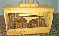 PRF resgata jabutis do tráfico de animais em Ribeira do Pombal (BA)