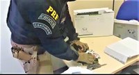 Supermaconha avaliada em mais de 400.000 reais é apreendida dentro de video-game