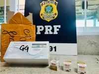 PRF apreende medicamentos durante fiscalização na BR-116, em Vitória da Conquista (BA)