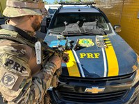 TRÁFICO INTERESTADUAL DE ARMAS: PRF prende mulher com arsenal ilegal de armas e munições, em Caucaia/CE.