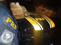 Apreensão de 55 kg de Skunk