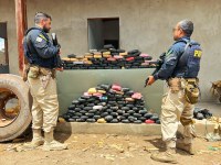 Polícia Rodoviária Federal apreende grande quantidade de drogas e veículo roubado na Operação Semana Santa no Ceará