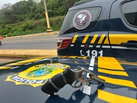 PRF prende homem pelo crime de Porte Ilegal de Arma de Fogo em Tianguá/CE