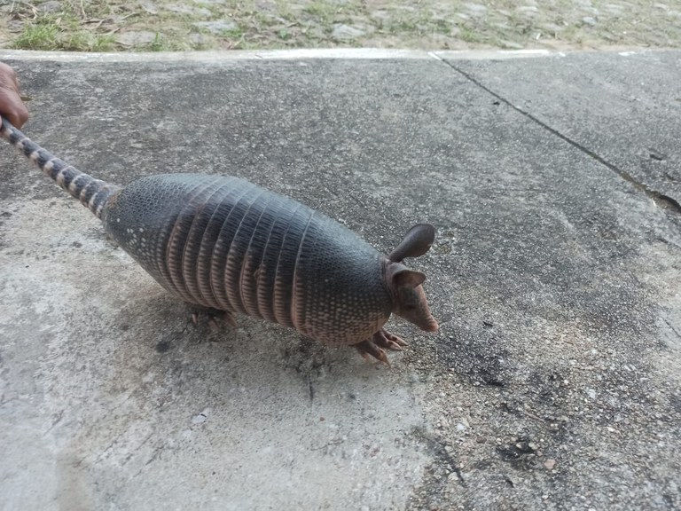 WhatsApp Image 2023-06-12 at 19.04.57.jpeg